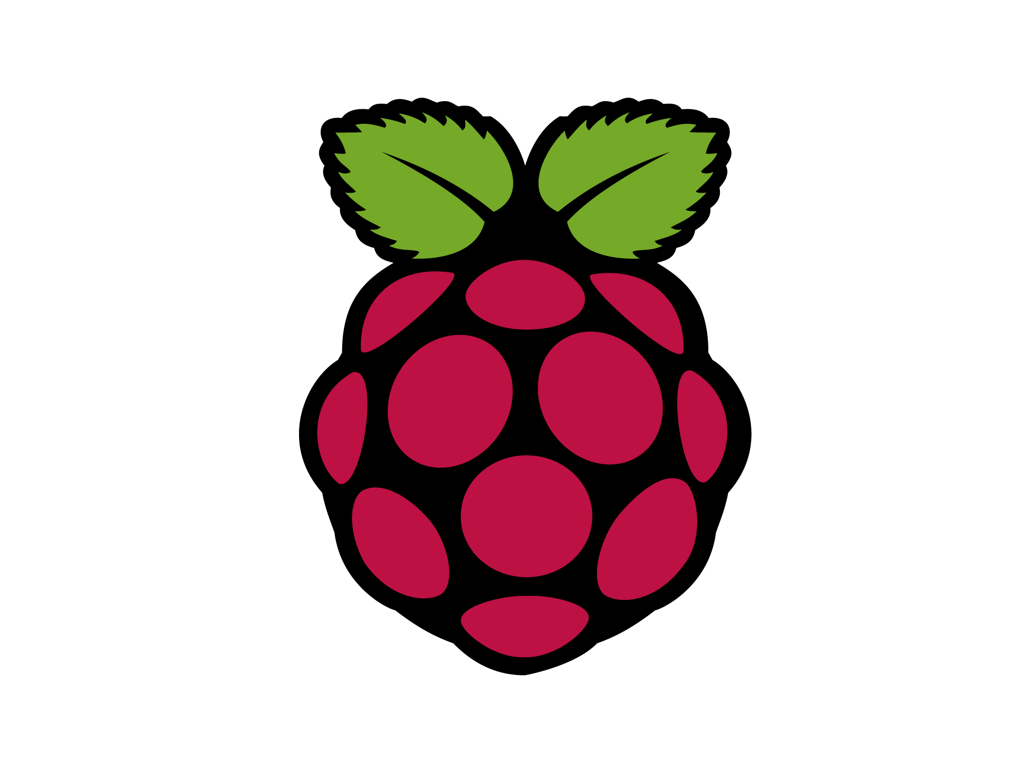 Raspberry Pi